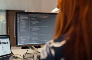 Programmer