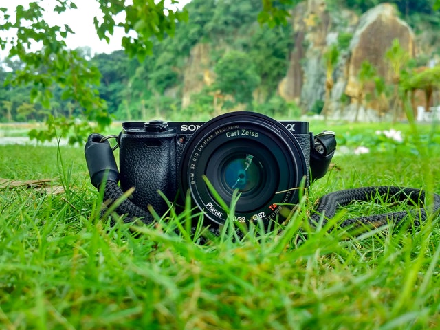 Different Types of Cameras for Every Photographer